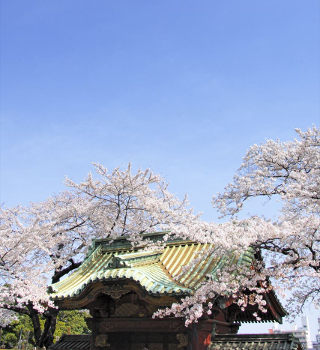 メイン